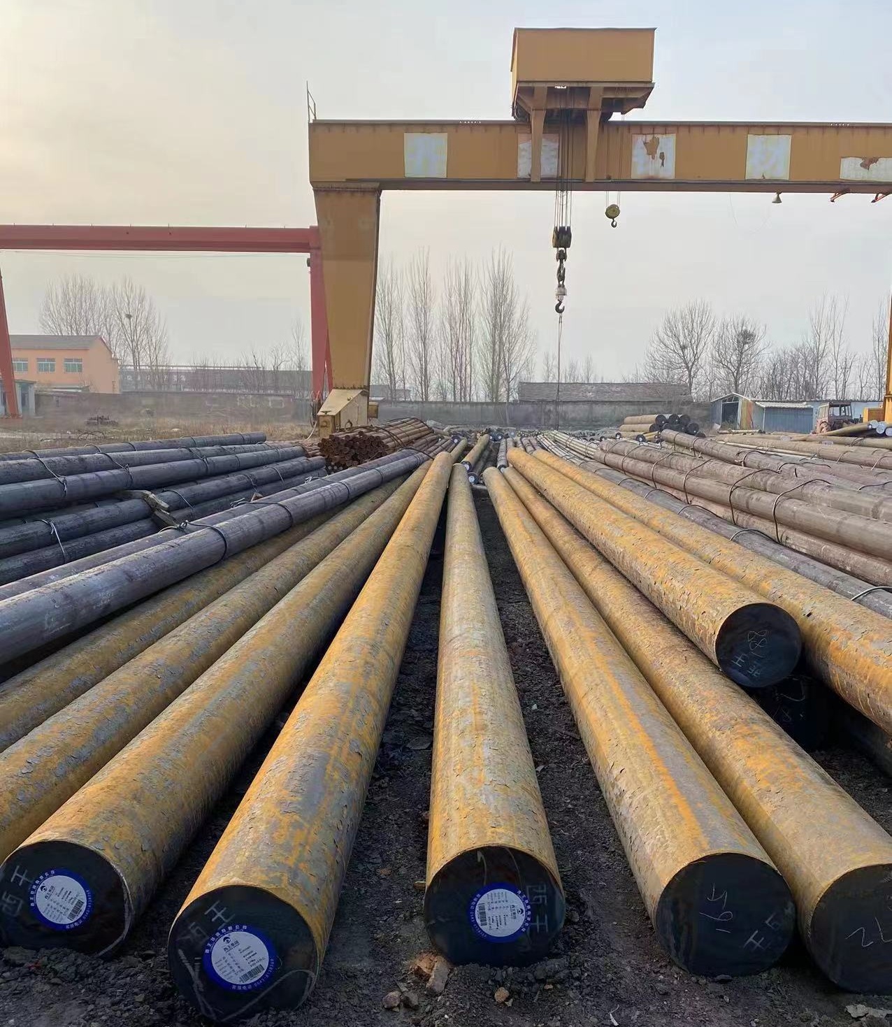 1668474707795477.jpg Steel (2).jpg